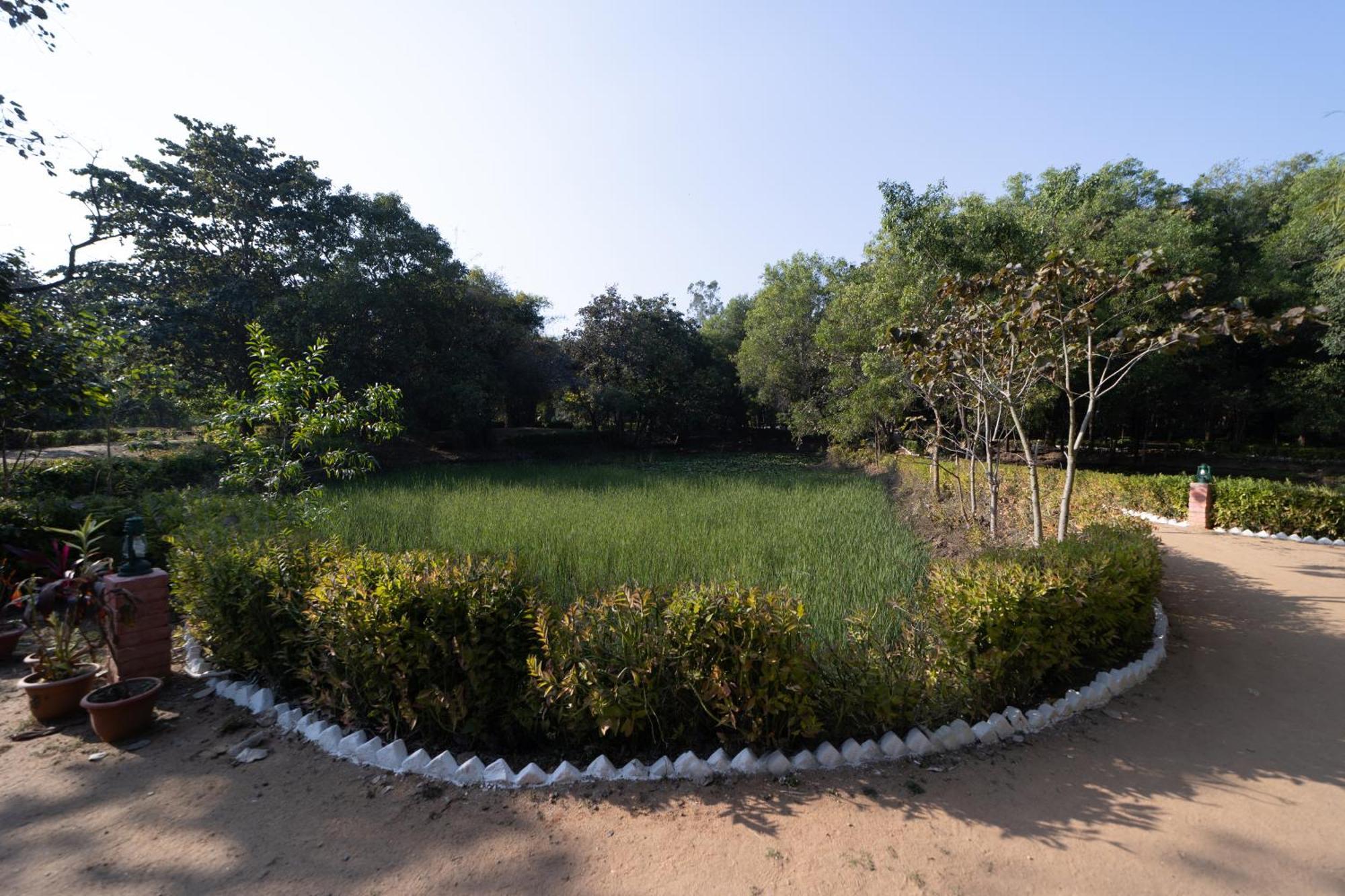 ไทเกอร์ เทรล รีสอร์ต Hotel Tala  ภายนอก รูปภาพ